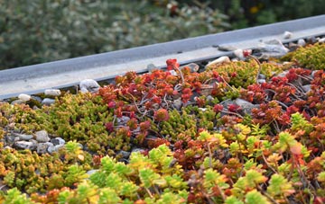 the cost of Dukesfield green roof installation