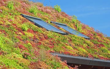 Dukesfield living roof systems