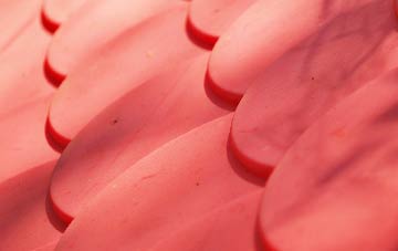 Dukesfield plastic roof costs