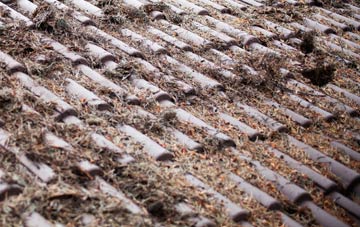 Dukesfield roof cleaning companies