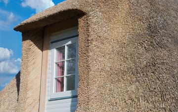 Dukesfield thatch roof disadvantages