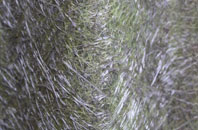 Dukesfield fibreglass roof work